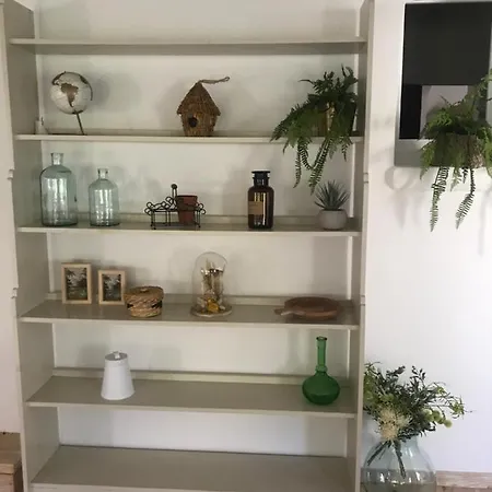 Le Mas De La Foret