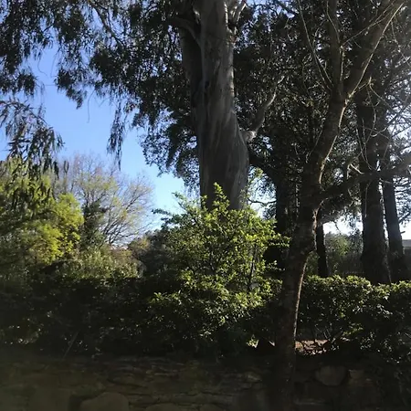 Le Mas De La Foret