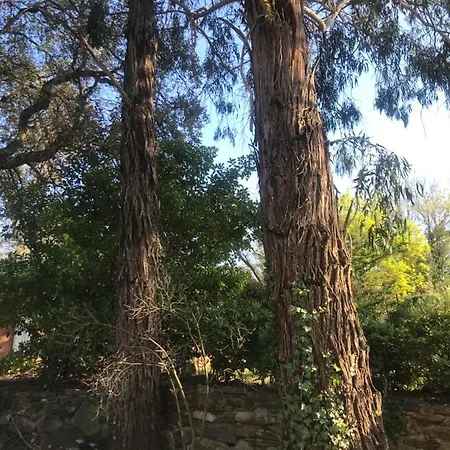Casa vacanze Le Mas De La Foret Cogolin
